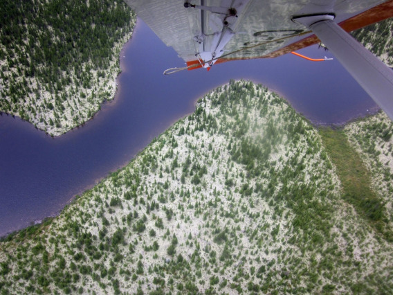 A boreal forest and lake from the view of a float plane cockpit