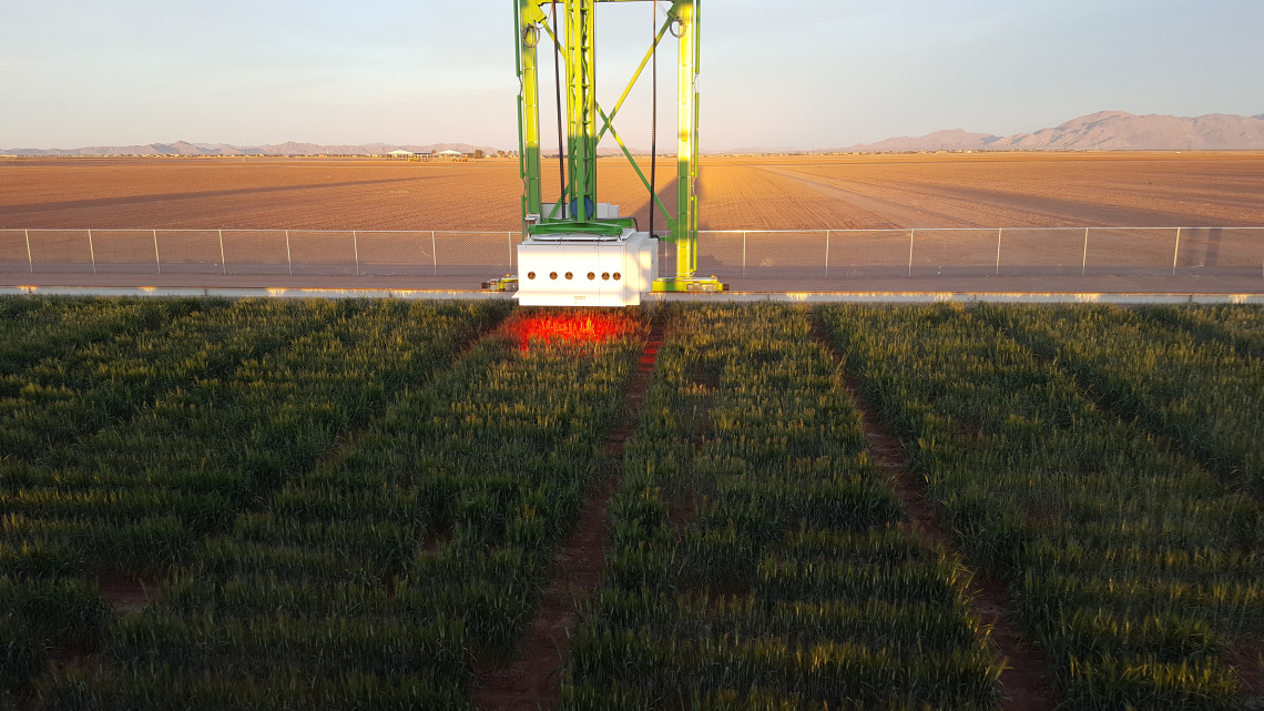 The field scanalyzer at Maricopa Agricultural Center collects data from a experimental field.