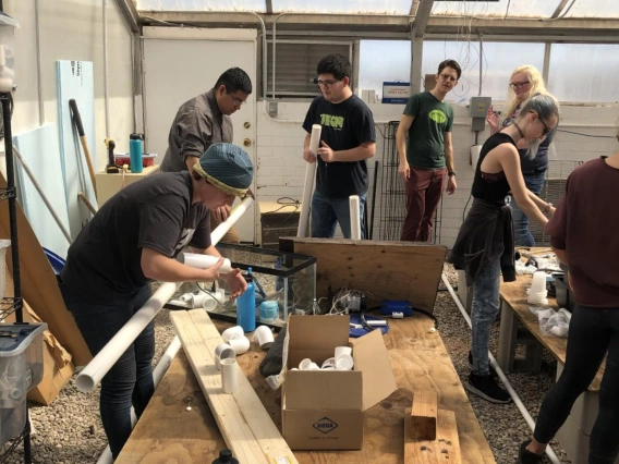 Group of students doing aquaponics