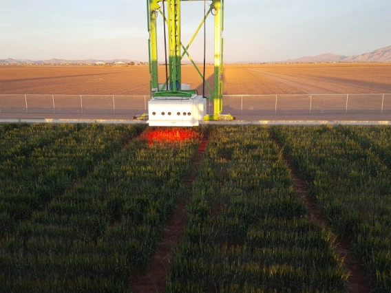 Scanner in a field