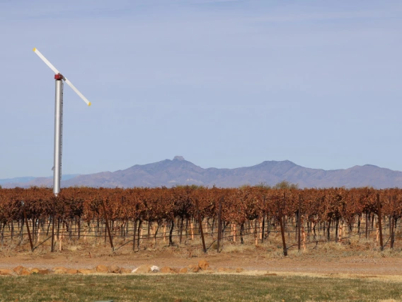 Photo of fan in a vineyard