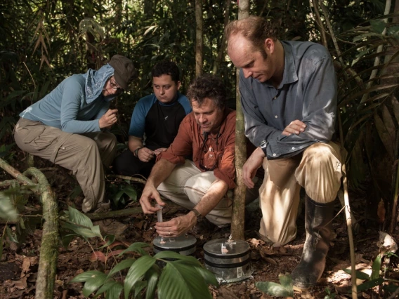 Researchers in the field