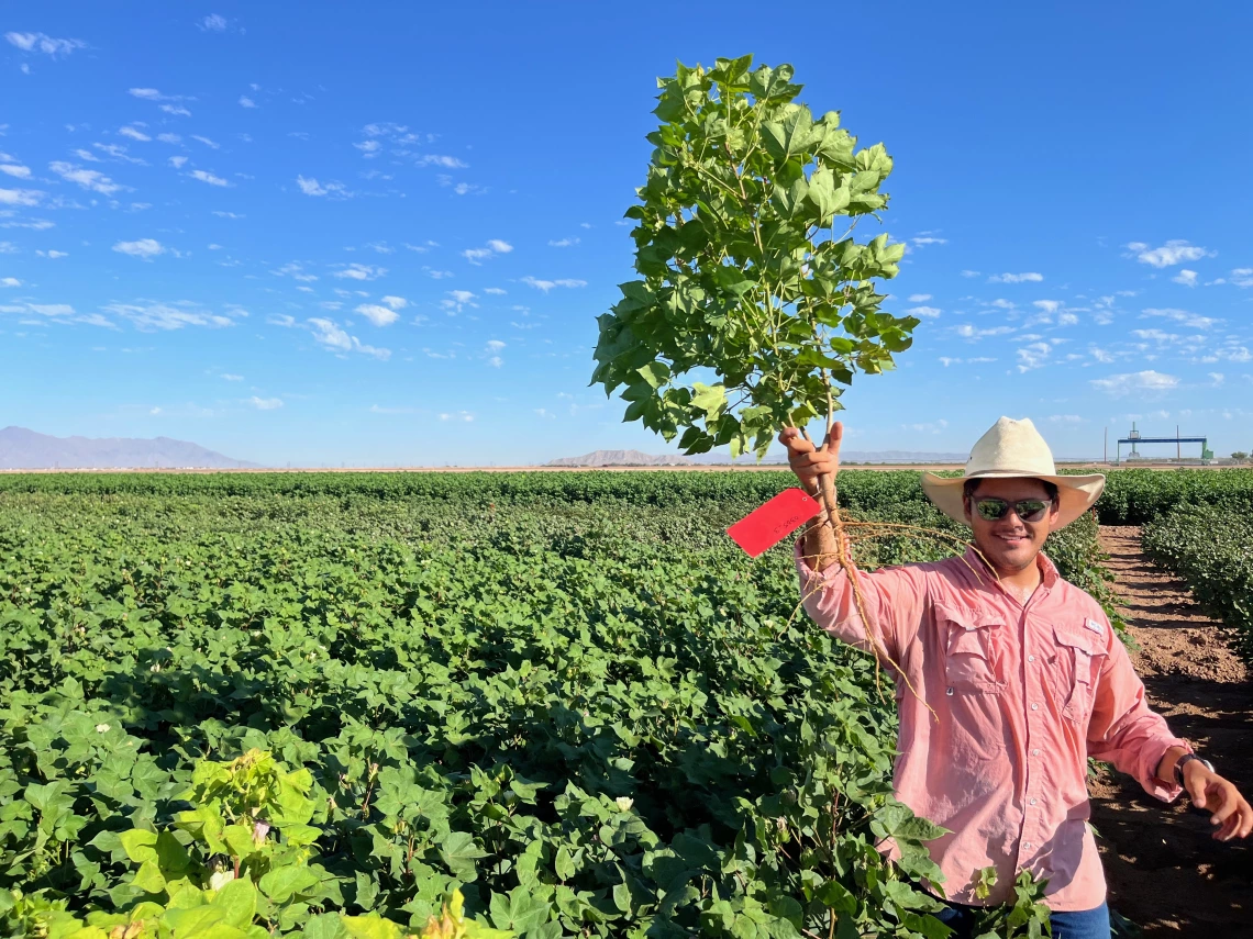 A UArizona student holding a plant in a field