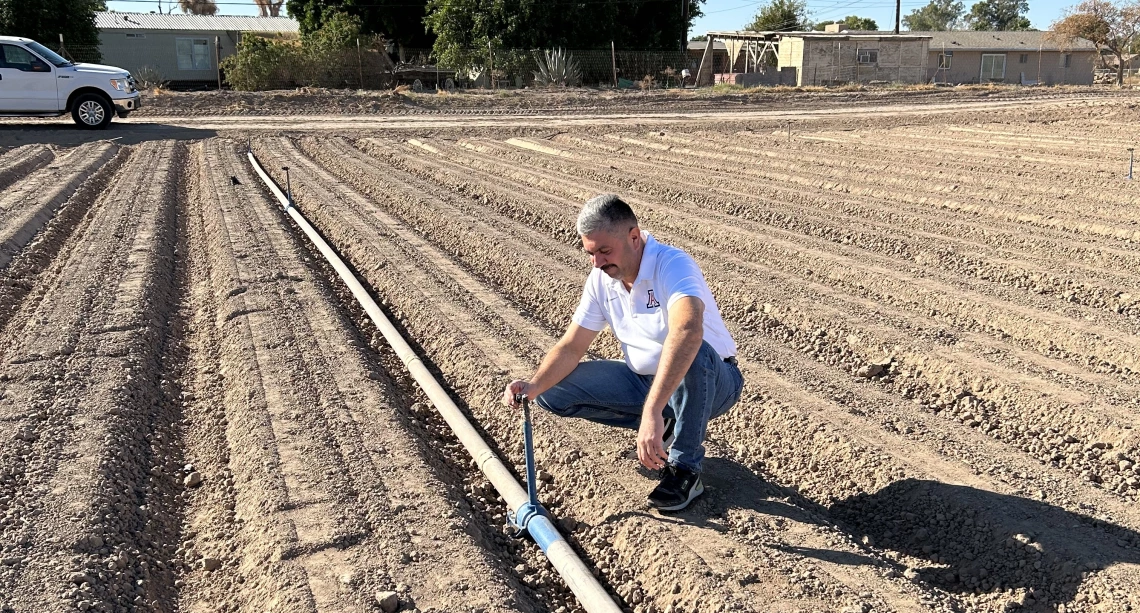 Dr. Ali Mohammed setting up a field experiment 